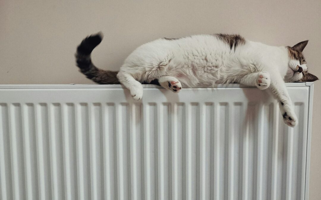 Radiator Maintenance for Maximum Efficiency: A Complete Guide